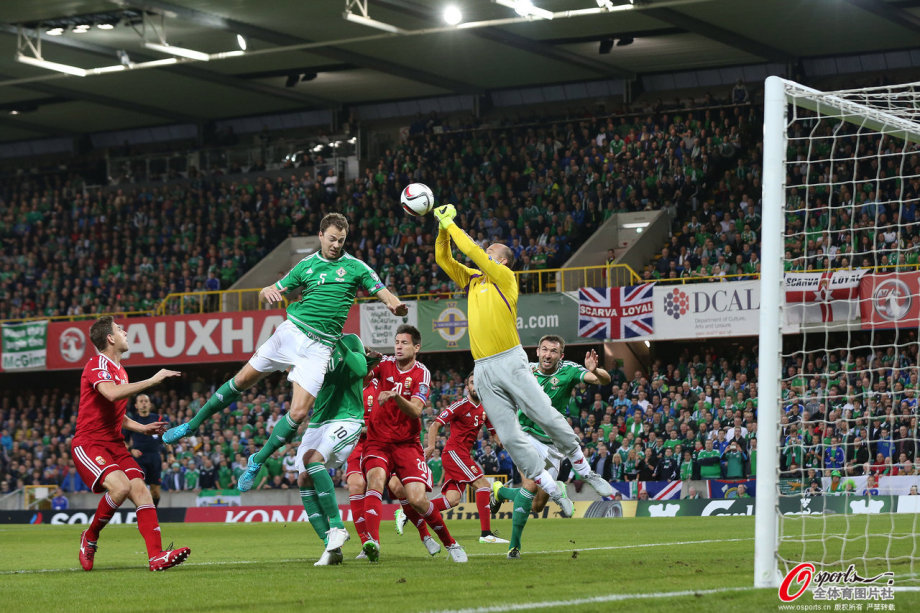 华体会体育-匈牙利队挺进欧预赛半决赛，势如破竹的简单介绍